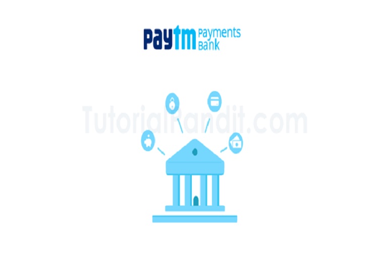 Paytm Payment Bank: RBI's big blow to Paytm Payment Bank, it will not be able to work after February 29