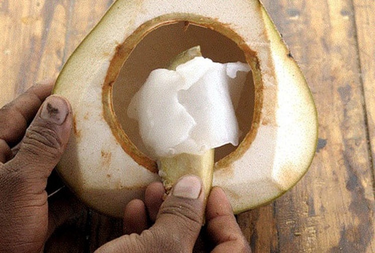 Health Tips: Coconut cream is very useful, eating it gives this benefit