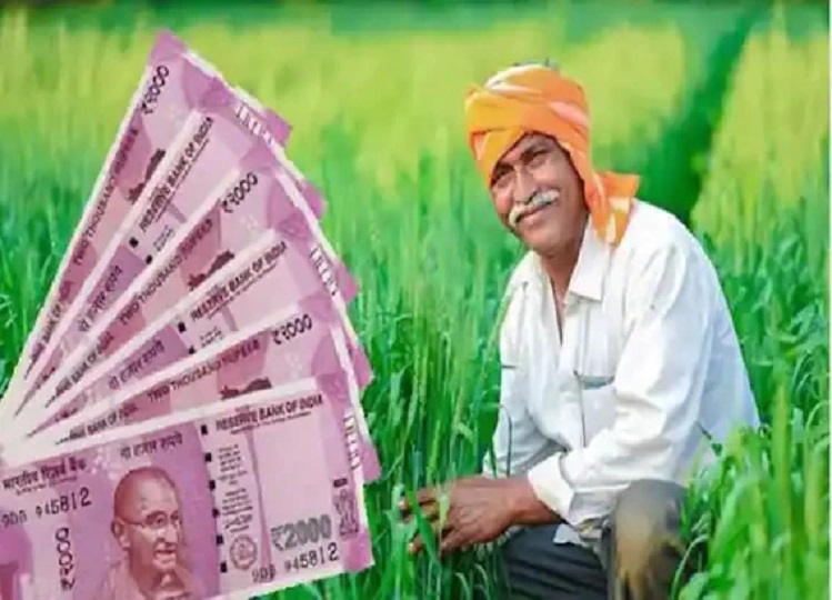 PM Kisan Yojana: Even after four days, the money of 14th installment has not come in your account, then do this work immediately, you will also get the message