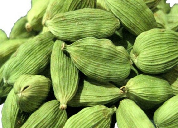 Health Tips: Cardamom is beneficial for health in many ways, you will be surprised to know its benefits