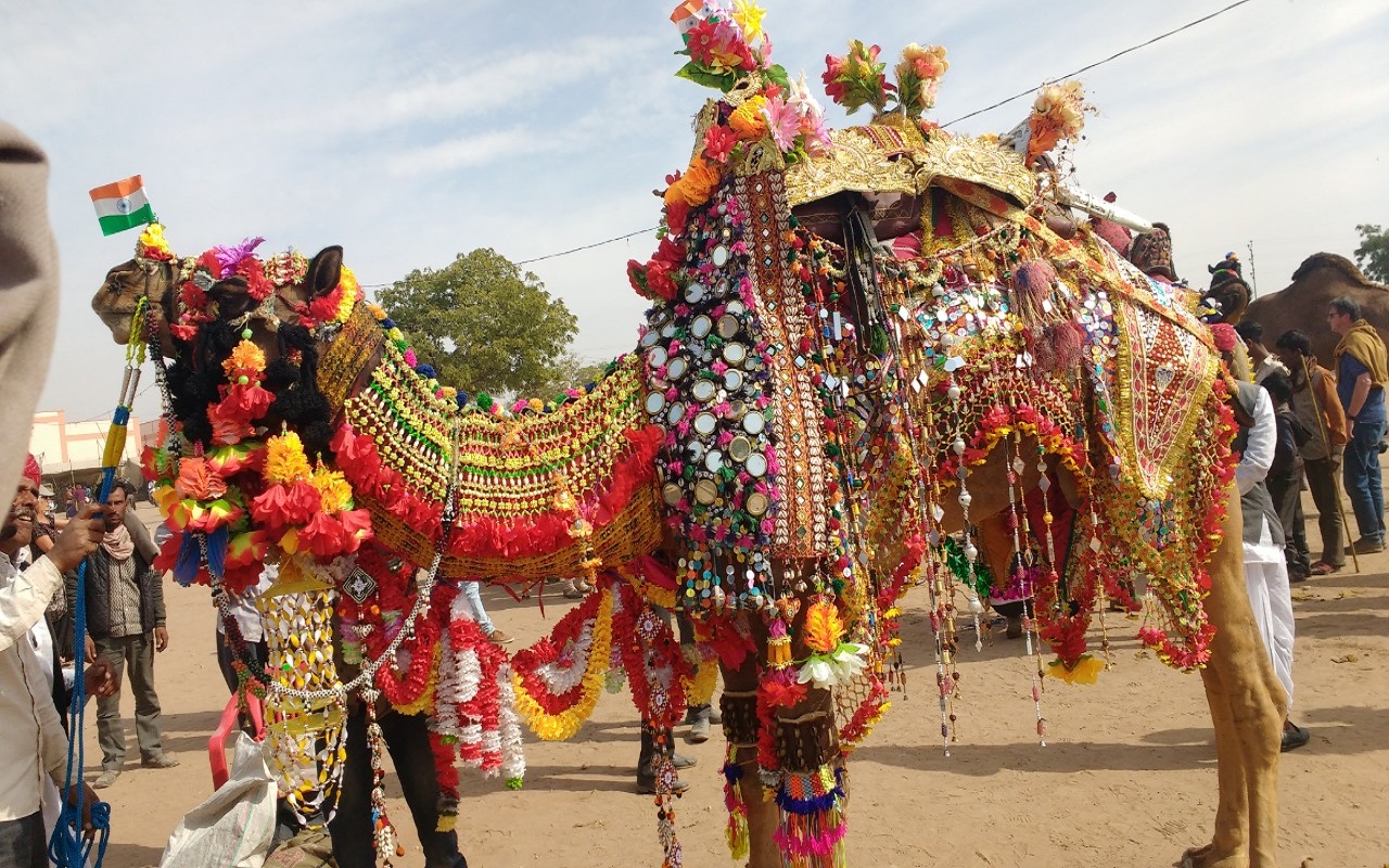 Travel Tips: Coming to Rajasthan, this time reach Nagaur, this big fair is going to start.