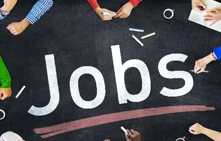Government job: Application process has started today for the recruitment of 1250 posts, this is the last date