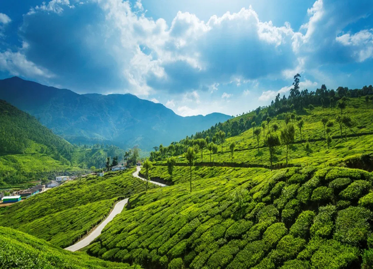 Travel Tips: If you are going to Kerala in monsoon, do not forget to try these things