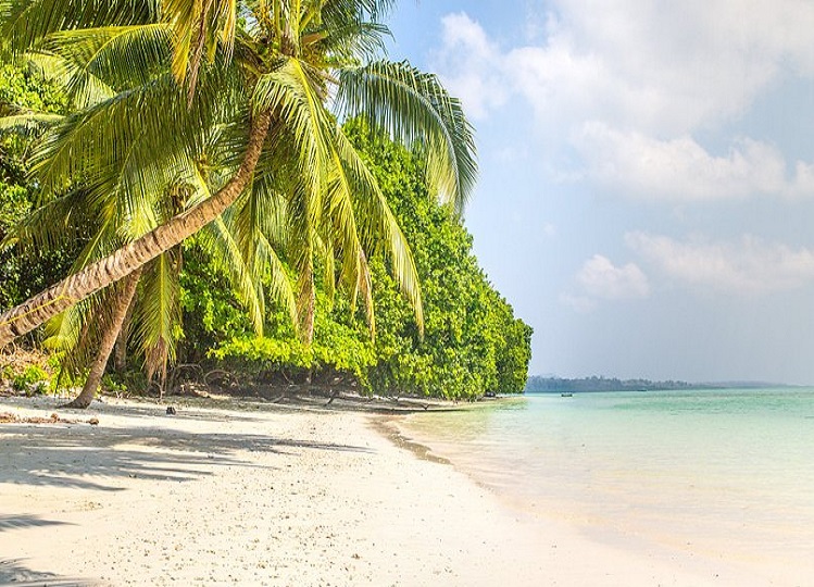 Travel Tips: Andaman and Nicobar Islands are a great place for honeymoon, make a plan to visit