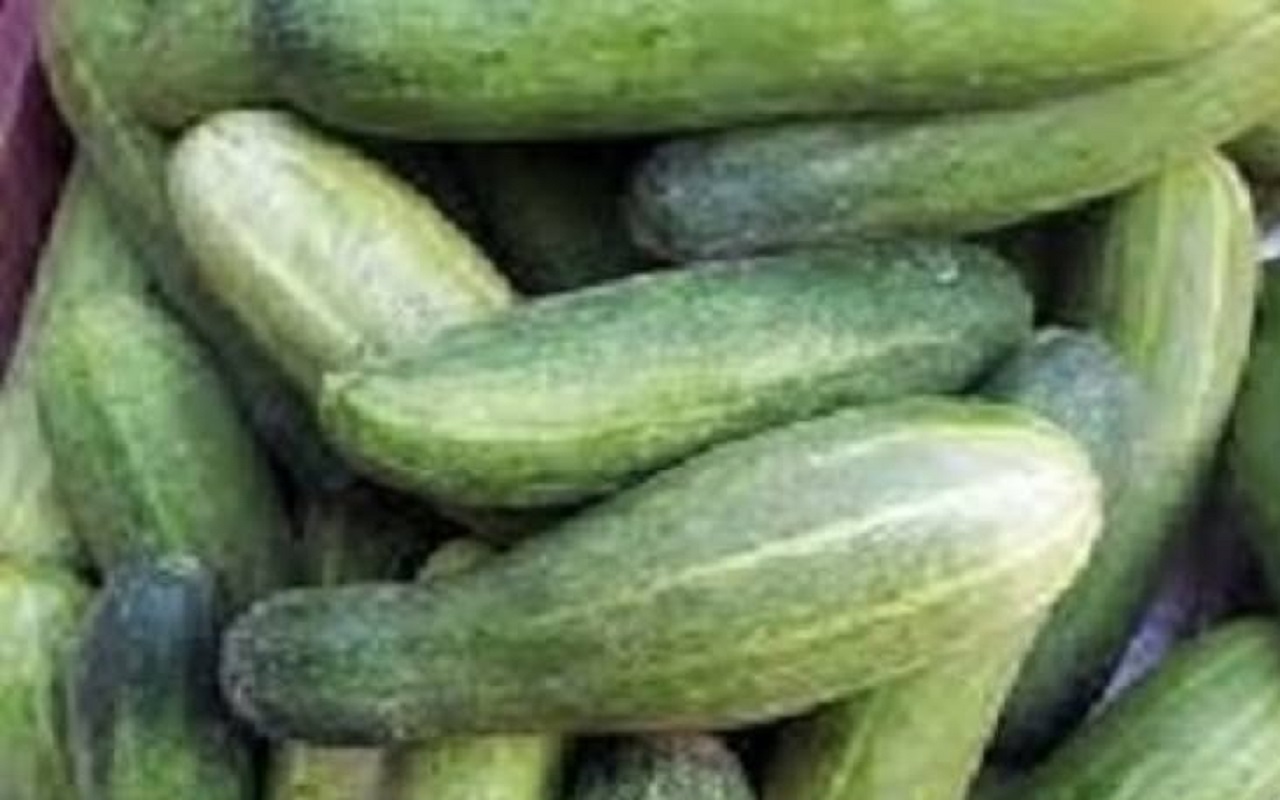 Skin Care Tips: Cucumber is very beneficial for skin, hair and nails during winter season
