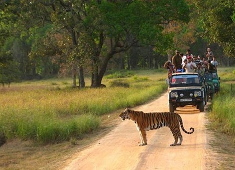 Travel Tips: You can also go to Madhya Pradesh with friends in this season.