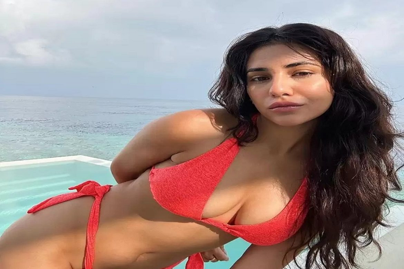 Actress Radhika wreaked havoc on the internet with her latest bikini pictures