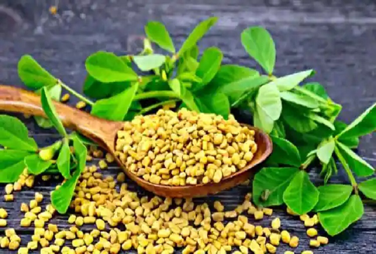 Health Tips: Consumption of fenugreek leaves is very beneficial, relief is found in these diseases