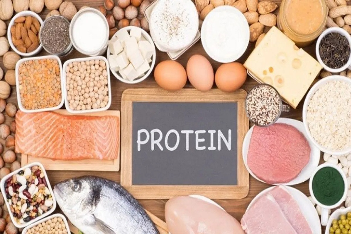 Health Tips : Benefits of consuming protein to the body