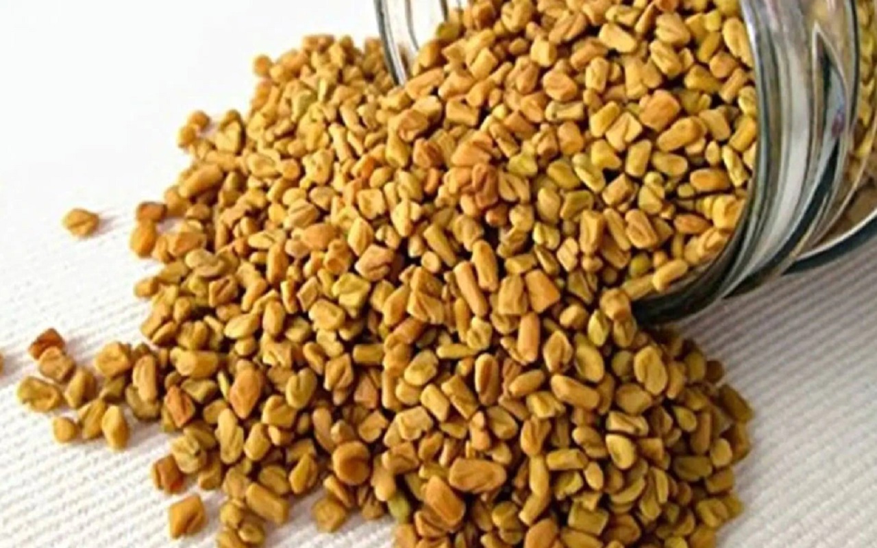 Beauty Tips: Fenugreek seeds are very beneficial for hair, you can experiment like this