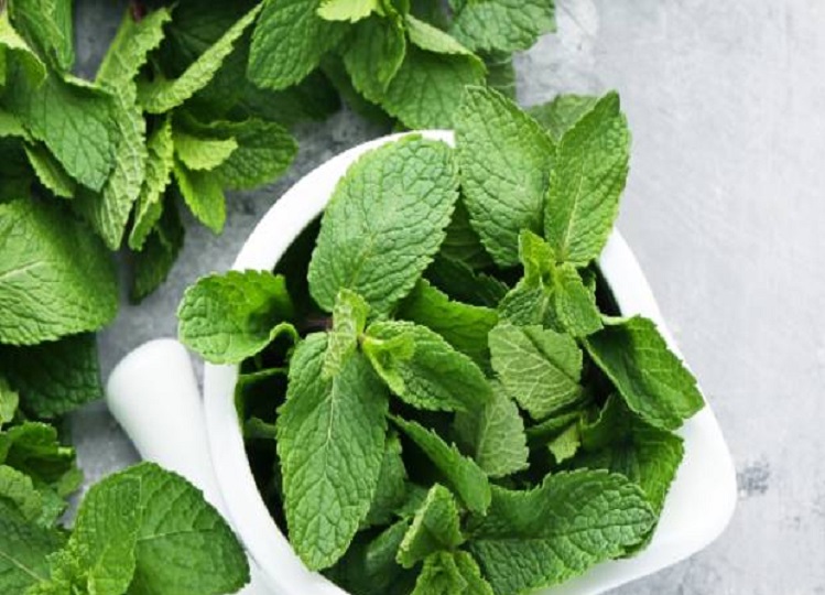 Recipe of the Day: Make delicious mint chutney at home, definitely add these things