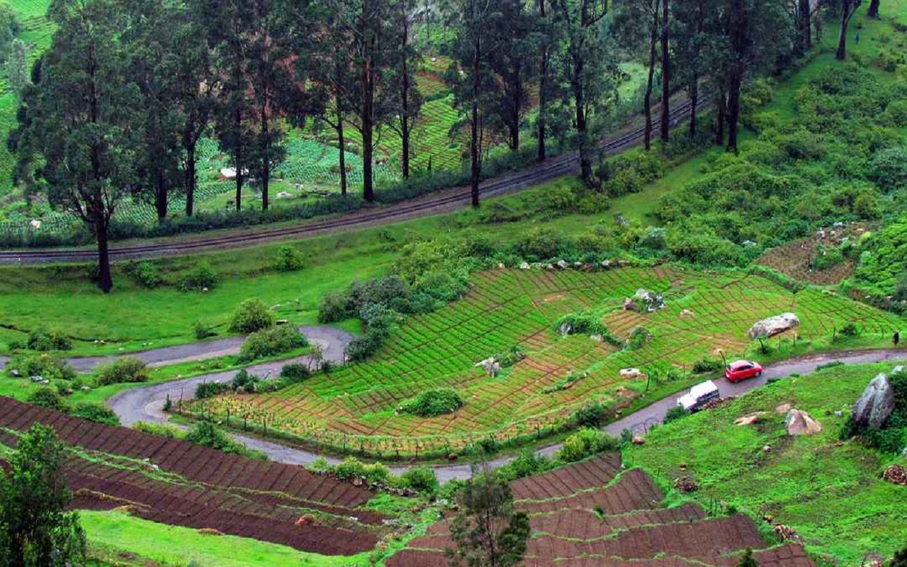 Travel Tips: You can also make a plan to visit Ooty, Tamil Nadu this time