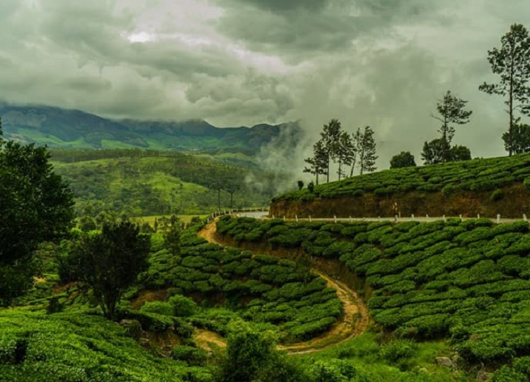 Travel Tips: Munnar is a great place to start married life