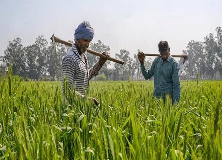pm kisan yojana: How many family members can avail benefits under Kisan Samman Nidhi, you should also know about it