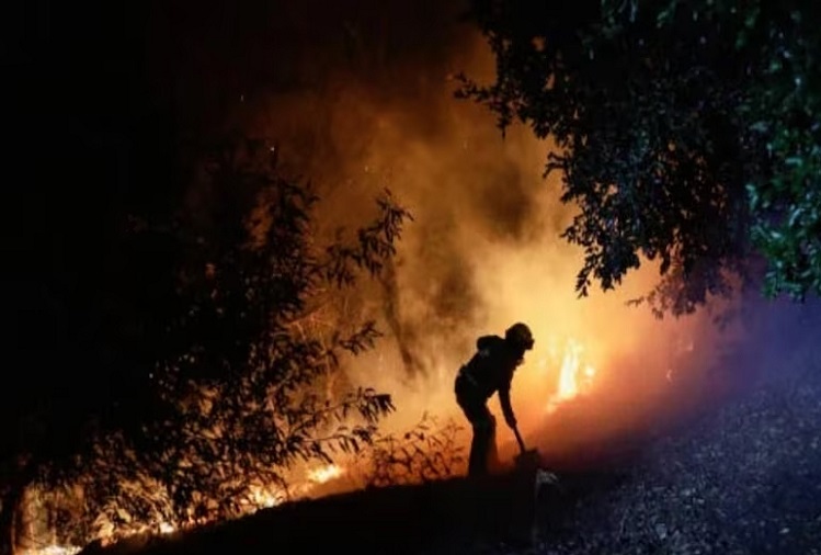 Forest Fire :13 dead in Chile forest fire