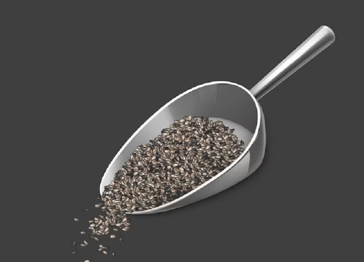 Health Tips: Drink chia seeds water every morning, you will get these health benefits