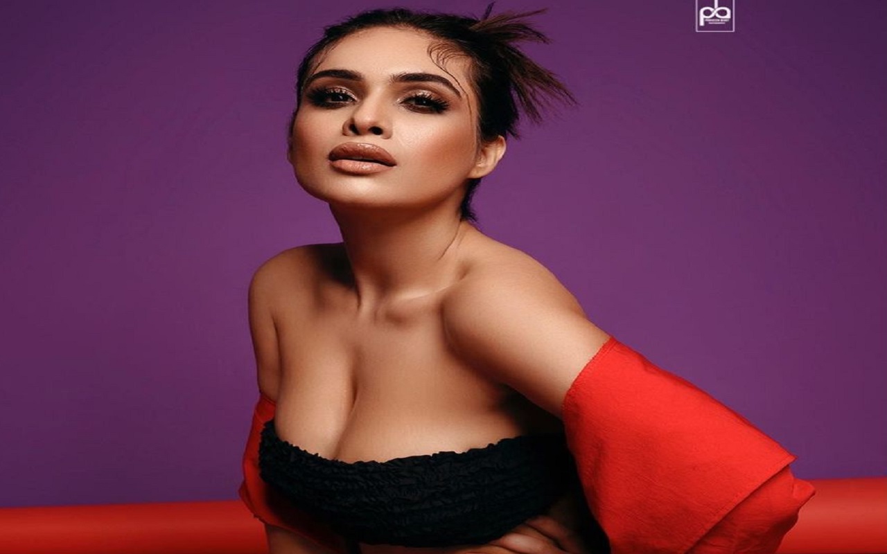 Photo Gallery: This hot look of Neha Malik will blow your sleep, see photos