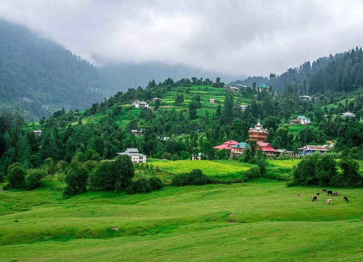 Travel Tips: You will also like these beautiful valleys of Himachal, just go once
