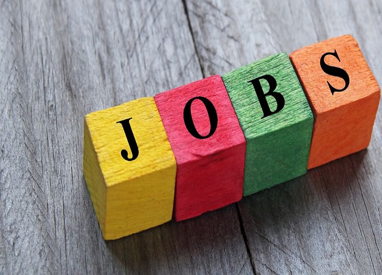 Government Jobs: Recruitment for these posts including District Collector and Tehsildar