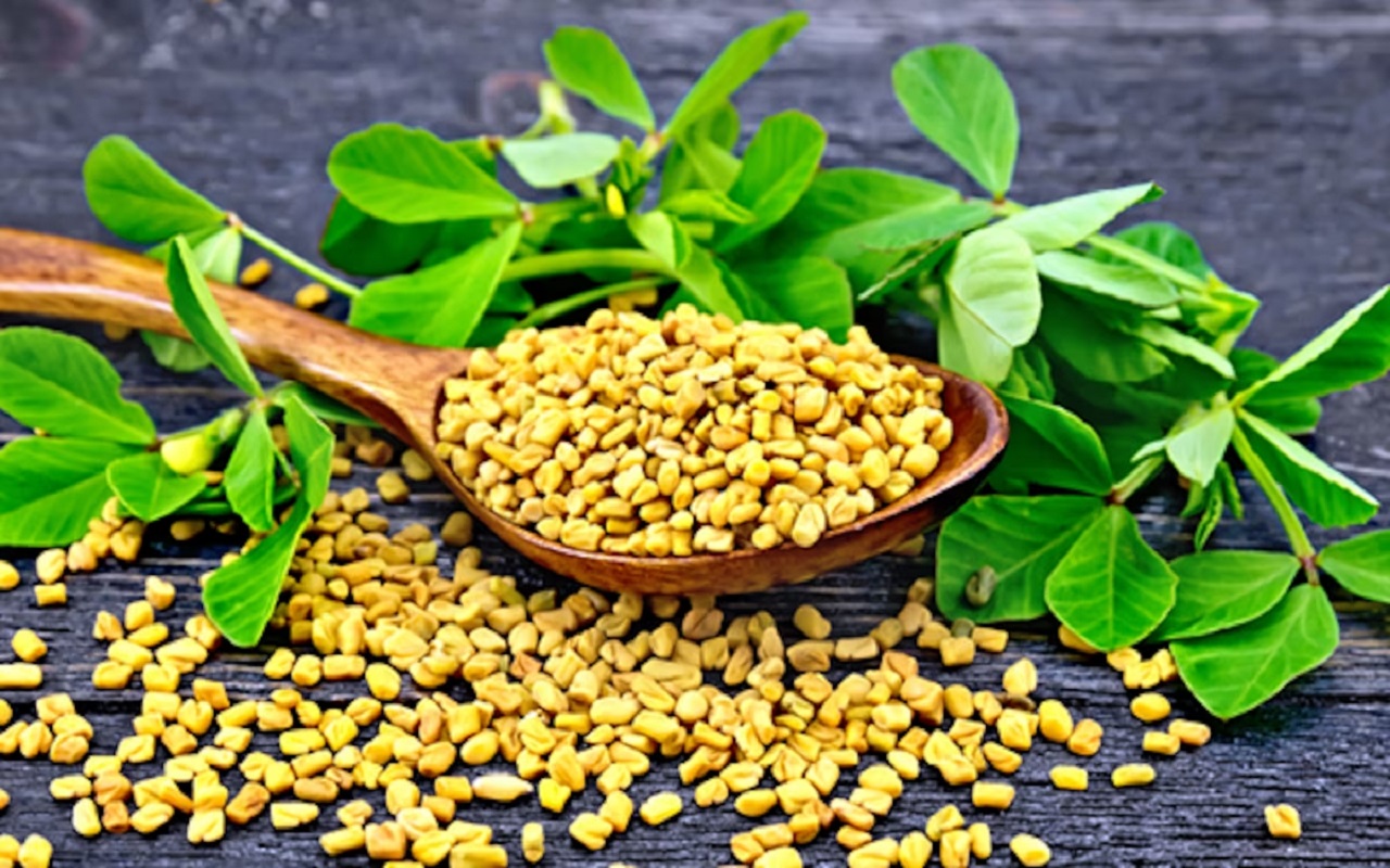 Health Tips: Fenugreek is a panacea for many diseases, you will get many benefits