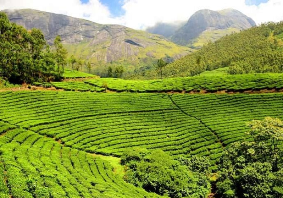Travel Tips: Make a plan to visit Assam with family, this will make the tour memorable