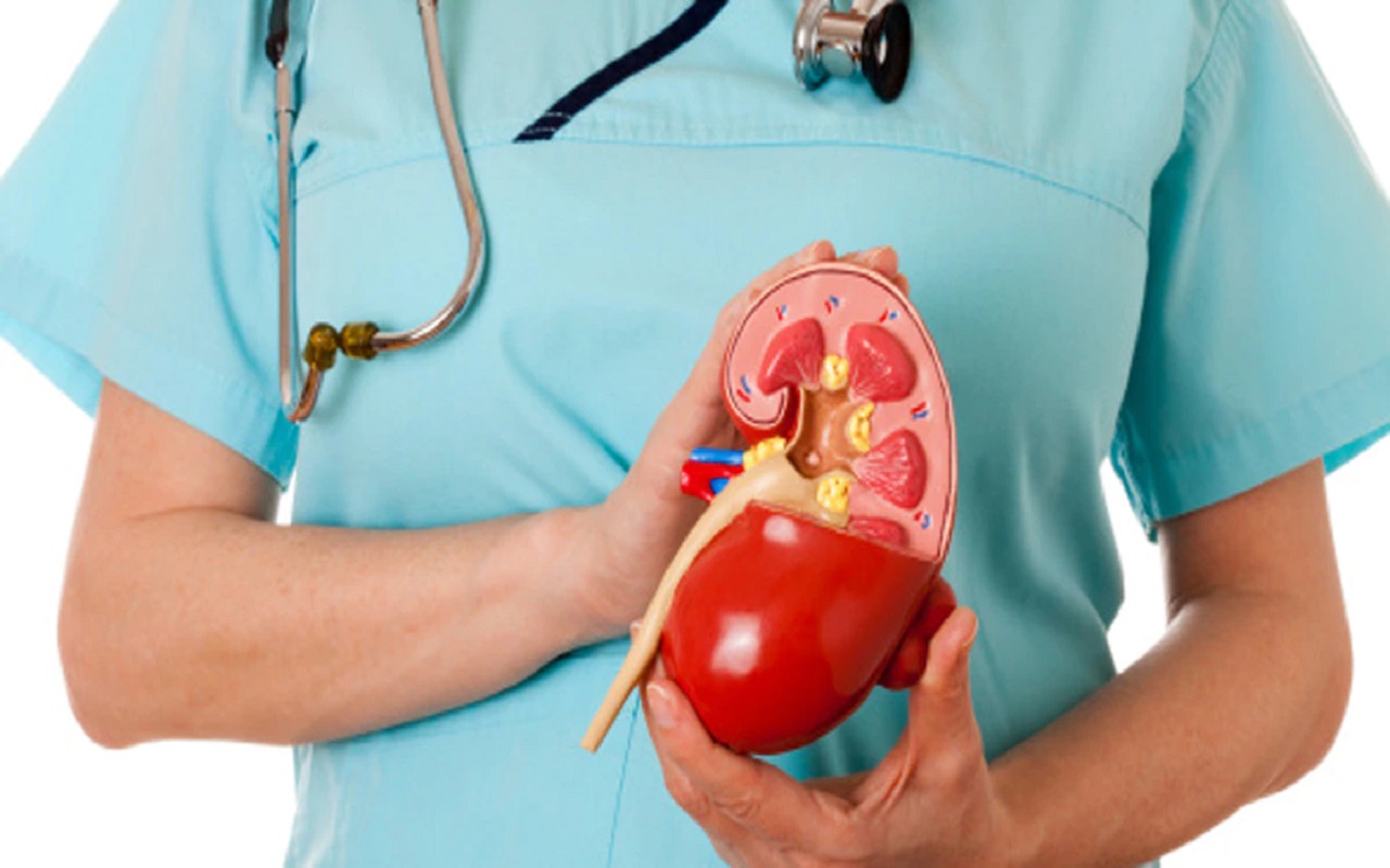 Health Tips: Kidney gives these signs before it spreads, contact the doctor as soon as you understand