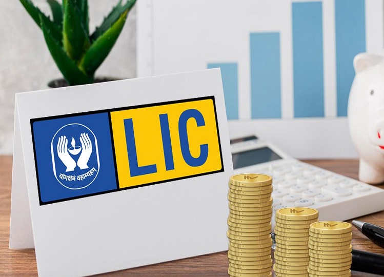 LIC: Check the status of your policy from home, this is the process