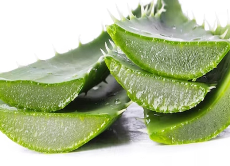 Beauty Tips: Use aloe vera to enhance the beauty of your face