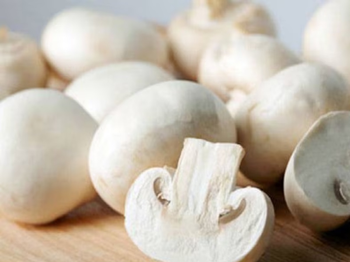Health Tips: Eating mushrooms reduces the risk of serious diseases, you should know this