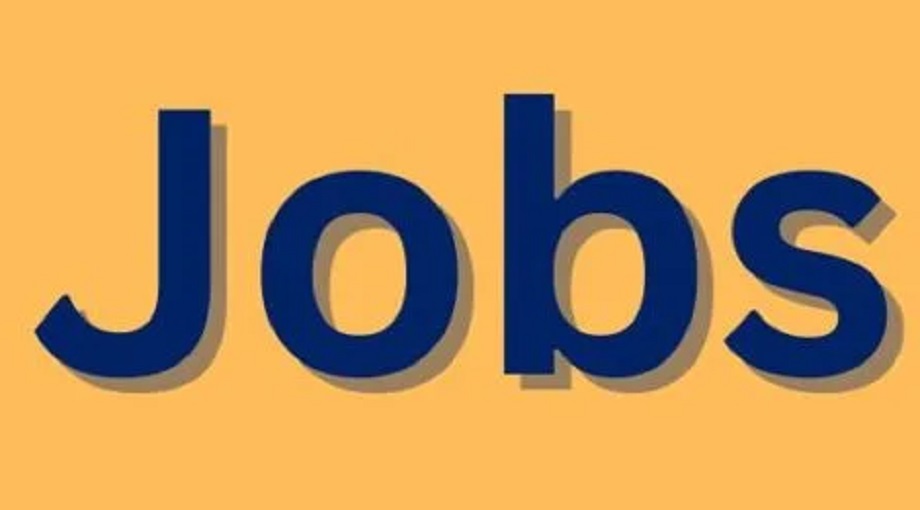 Government Jobs: Application process started for recruitment of 1100 posts of Veterinary Officer