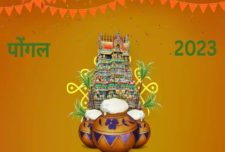 Pongal 2023: Why is the festival of Pongal celebrated and know its importance