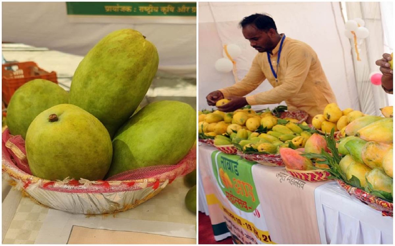 Mango Festival In Bhopal: NABARD's 6th Mango Festival will be held in Bhopal from June 8