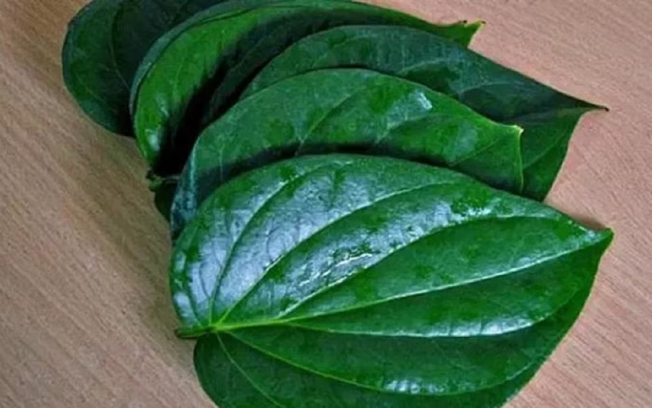 Beauty Tips: Betel leaves enhance the beauty of the face, use them in this manner