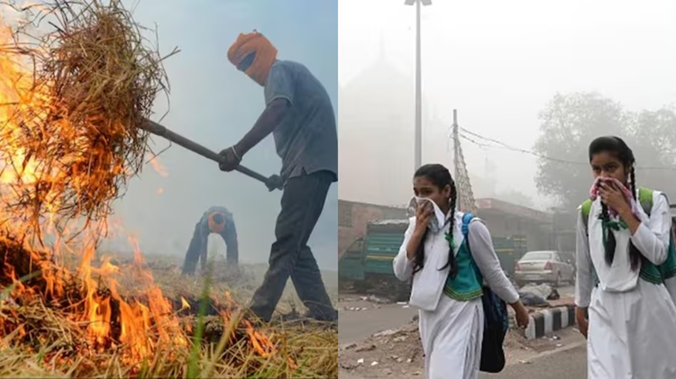 Delhi-NCR pollution: Centre doubles penalty for stubble burning, new penalty charges announced by John Ley