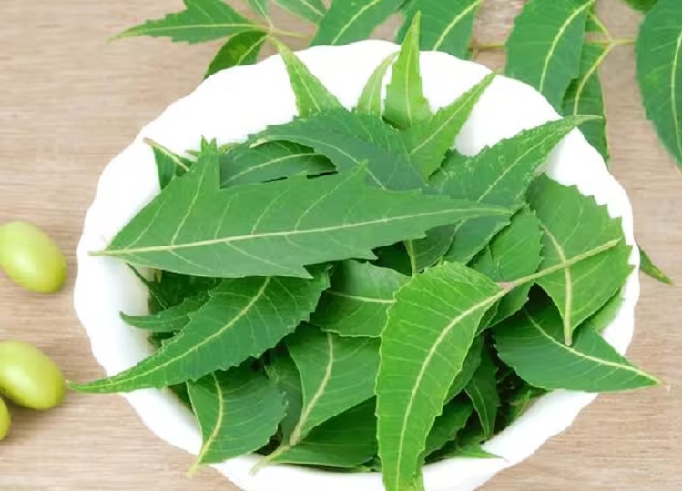 Beauty Tips: Make face pack of Neem leaves, your face will get amazing glow