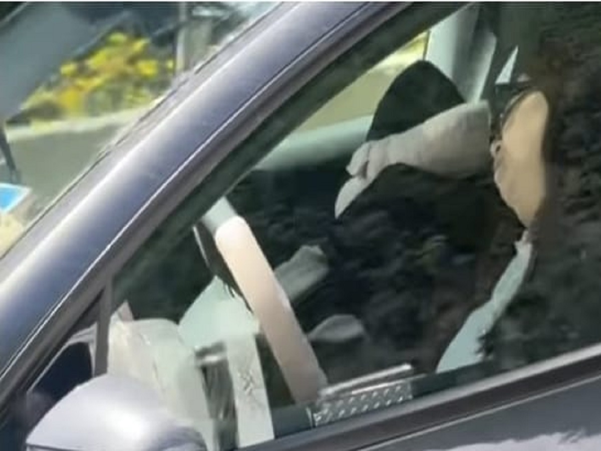 Video of Tesla driver allegedly sleeping while traveling goes viral