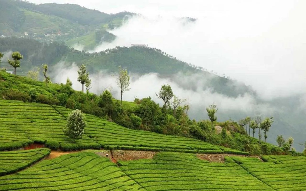 Travel Tips: You must visit this hill station of South India in monsoon