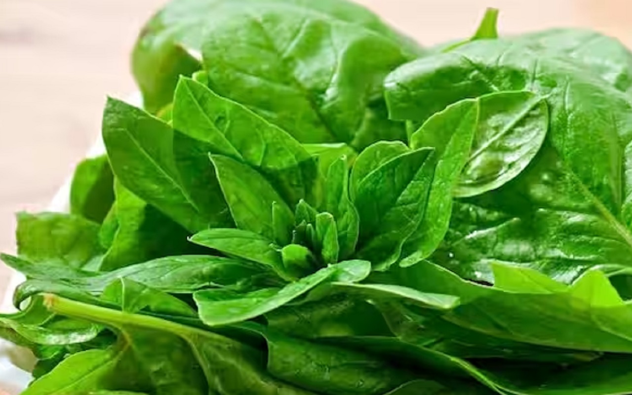 Health Tips: These nutrients are found in spinach, include them in your diet today