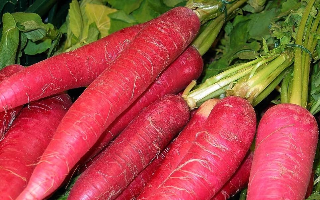 Health Tips: To avoid heart diseases, include carrots in your diet today
