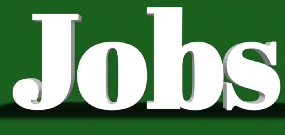 Government Jobs: Candidates with a 10th-grade pass can apply for 1733 Jail Warder positions