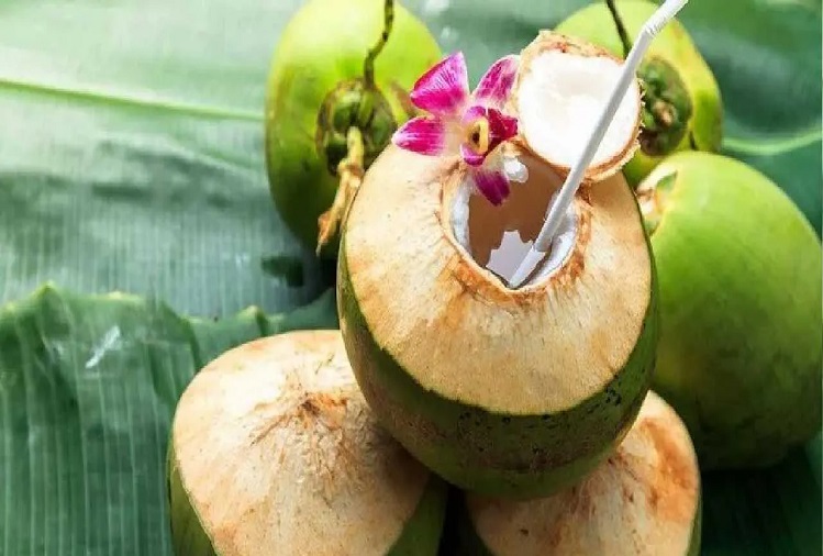 Health Tips : Benefits of drinking coconut water to the body
