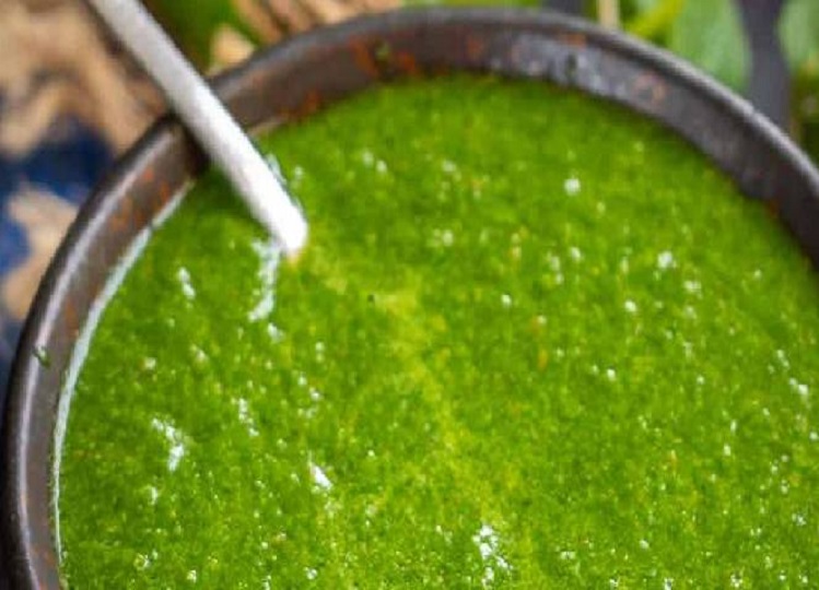 Recipe of the Day: Enjoy the delicious mint chutney in the summer season, make it with these things