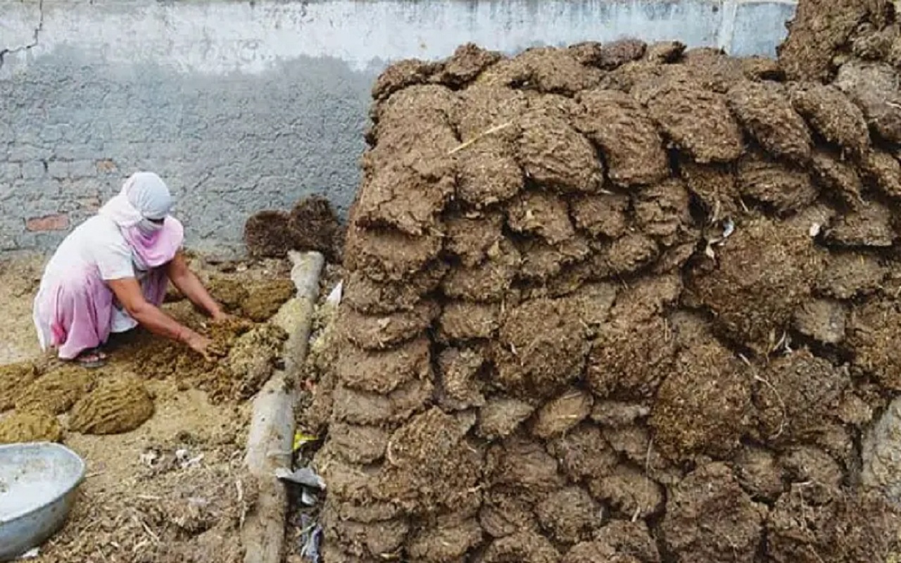 Uttar Pradesh: Products made of cow dung will be sold in the streets of Saharanpur