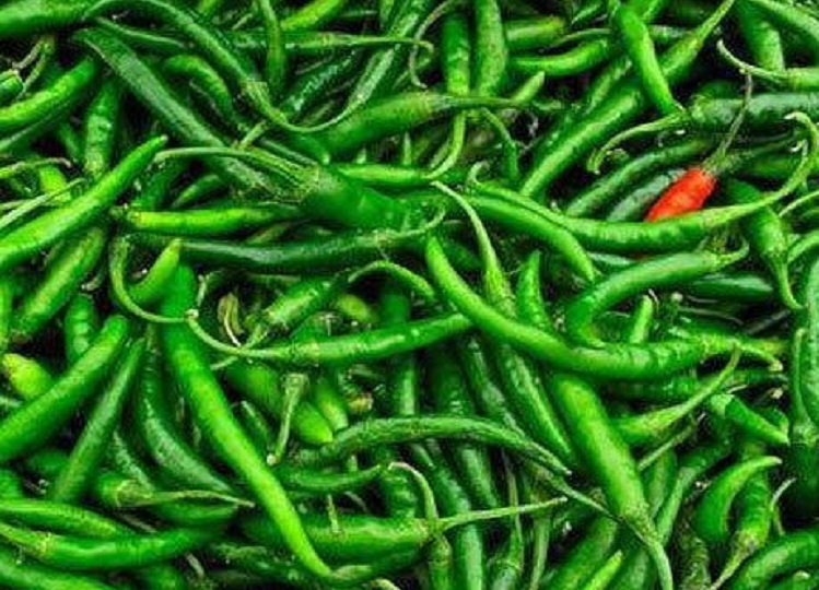 Health Tips: Green chilli is beneficial for health in many ways, consume it regularly