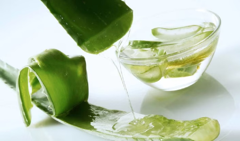 Hair Care Tips: Aloe vera gel is very beneficial for hair, use it in this way