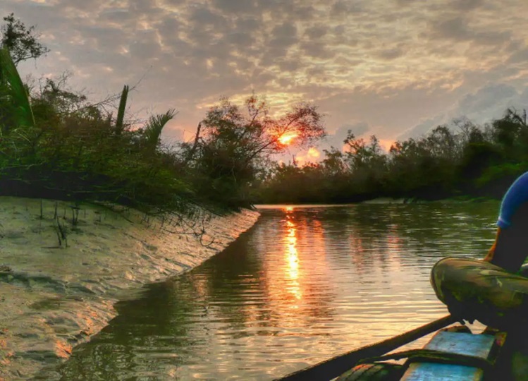 Travel Tips: If you are also planning to visit Sundarbans of West Bengal, then plan your trip like this