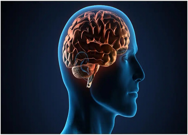 Health Tips: Due to these habits, your brain can also be weak, make distance from today itself