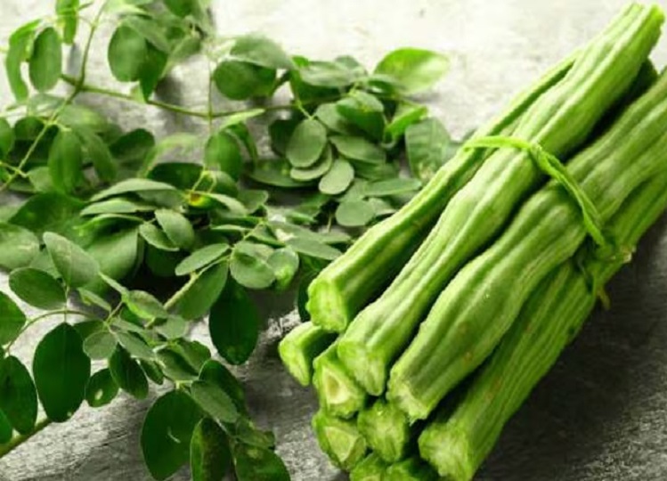 Health Tips: moringa is very beneficial for the heart, these nutrients are found in it