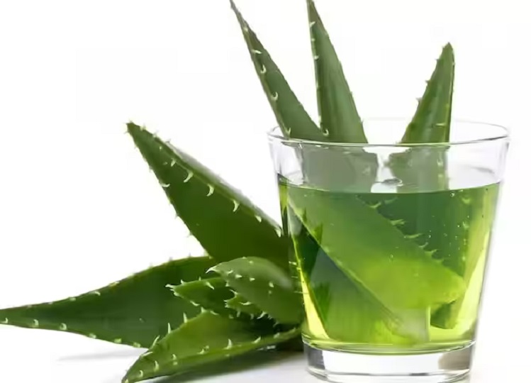 Health Tips: Know the benefits of Aloe Vera juice and start consuming it from today itself.