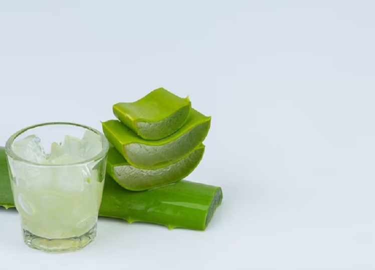 Health Tips: Aloe vera juice is also very beneficial for the digestive system